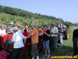 Castiglionchio, 20 Italiy, toscan